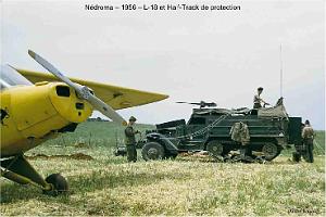 144-AERODROME-ET-BASE-1945-1962-28-  (85) NEDROMA